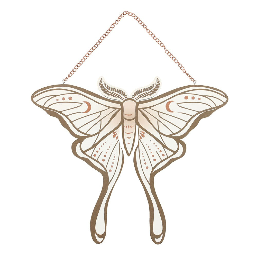 Luna Moth Wanddekoration